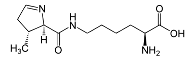 amino acid
