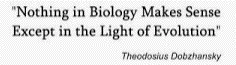 famous
                                                      quotation in
                                                      evolutionary
                                                      biology