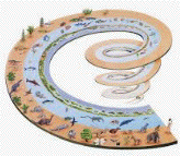 spiral hierarchical
                                                      evolution