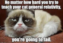 Brian Greene cat
                                                  argument