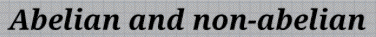 Abelian-nonAbelian