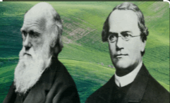 Darwin-Mendel