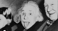 einstein
                                                    deranged