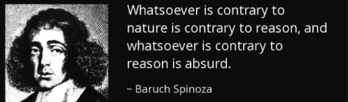 Nature by
                                                          Spinoza